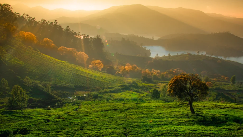 travel, adventure, trekking and mounatins near me.